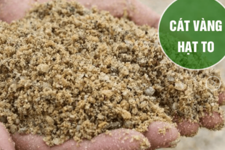Báo giá cát vàng hạt to mới nhất 2025